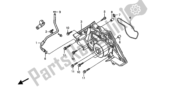 All parts for the Water Pump of the Honda ST 1100A 1994