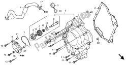 coperchio del carter destro e pompa dell'acqua