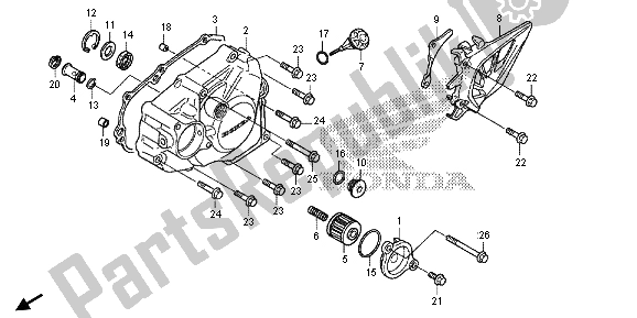 All parts for the Left Crankcase Cover of the Honda CRF 450R 2013