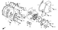 LEFT CRANKCASE COVER & WATER PUMP & REAR COVER