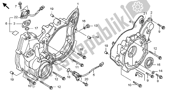 Tutte le parti per il Coperchio Del Carter Posteriore del Honda TRX 500 FA Fourtrax Foreman 2003