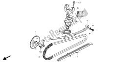 CAM CHAIN & TENSIONER