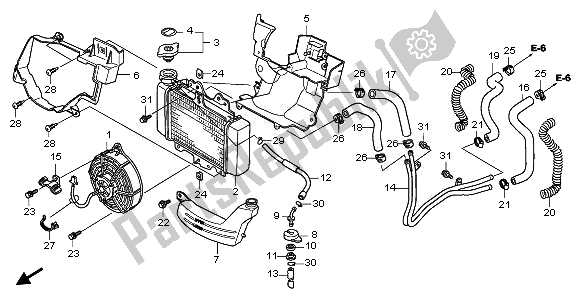 All parts for the Radiator of the Honda SH 125R 2011