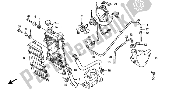 All parts for the Radiator of the Honda NX 250 1991
