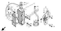 termosifone