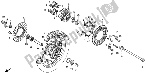 All parts for the Rear Wheel of the Honda NX 650 1988