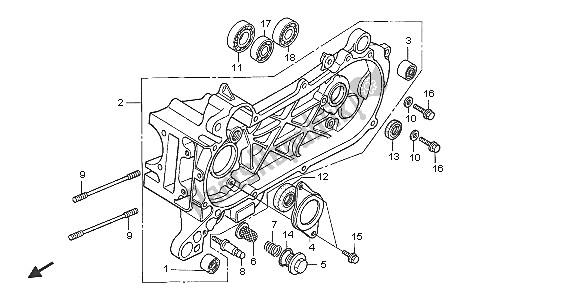 Tutte le parti per il Basamento Sinistro del Honda SCV 100F 2005