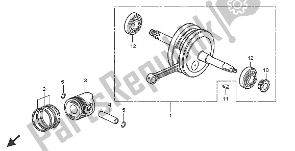 All parts for the Crankshaft & Piston of the Honda CRF 50F 2005