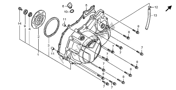 All parts for the Right Crankcase Cover of the Honda XL 1000V 2008