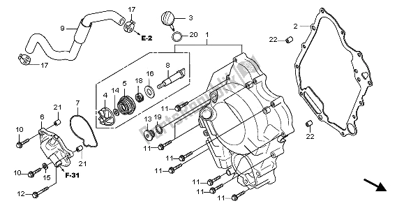 Todas las partes para Tapa Del Cárter Derecho Y Bomba De Agua de Honda SH 300 2009