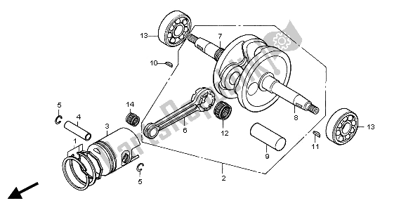 All parts for the Crankshaft & Piston of the Honda QR 50 1997