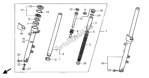 All parts for the Front Fork of the Honda CB 600F Hornet 2003