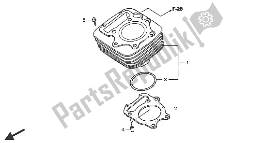 All parts for the Cylinder of the Honda TRX 300 EX Fourtrax 2005