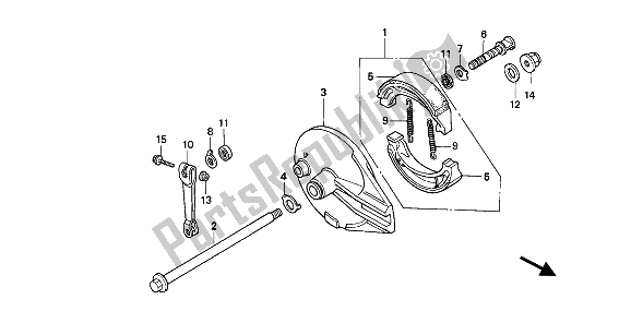 All parts for the Rear Brake Panel of the Honda NX 250 1991