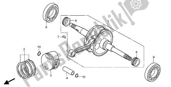 All parts for the Crankshaft & Piston of the Honda PES 150 2006