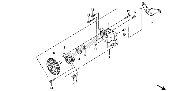 All parts for the Oil Pump of the Honda NX 250 1989