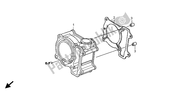 All parts for the Cylinder of the Honda SH 125D 2009