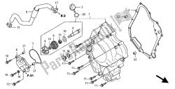 RIGHT CRANKCASE COVER & WATER PUMP