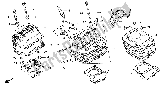 All parts for the Cylinder Head & Cylinder of the Honda XR 80R 1985