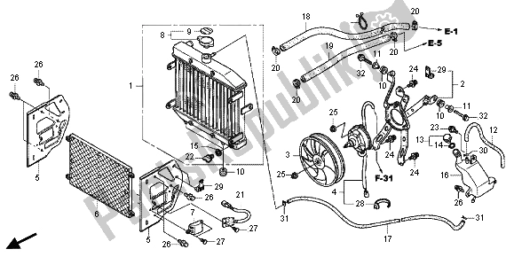 All parts for the Radiator of the Honda TRX 500 FA Fourtrax Foreman Rubicon 2013