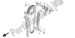 CAM CHAIN & TENSIONER