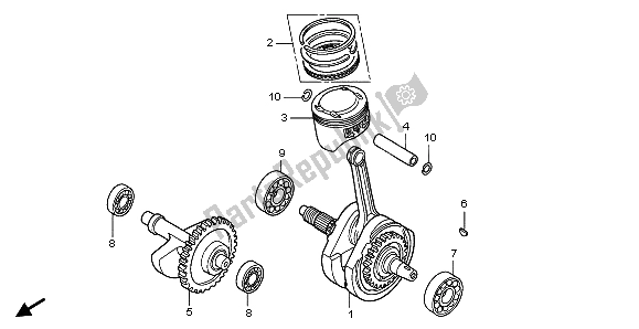 All parts for the Crankshaft of the Honda TRX 300 EX Fourtrax 2004