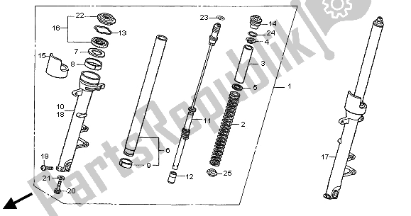 All parts for the Front Fork of the Honda CB 900F Hornet 2005