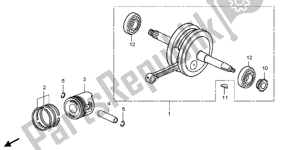 All parts for the Crankshaft & Piston of the Honda CRF 50F 2009