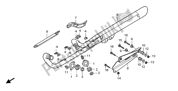 All parts for the Exhaust Muffler of the Honda VT 750C 2007