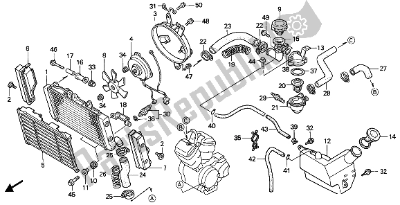 All parts for the Radiator of the Honda NTV 650 1988