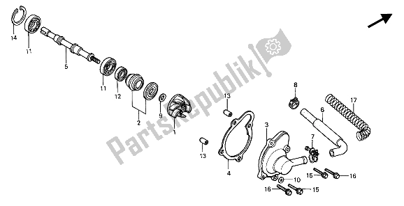 All parts for the Water Pump of the Honda CN 250 1 1994