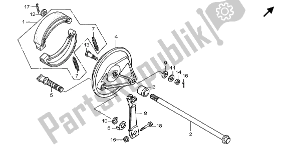 All parts for the Rear Brake Panel of the Honda CB 250 1997