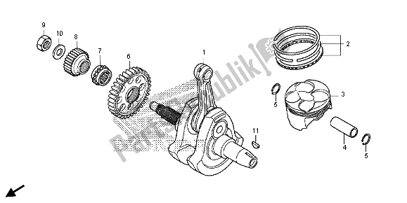 All parts for the Crankshaft & Piston of the Honda CRF 250L 2013