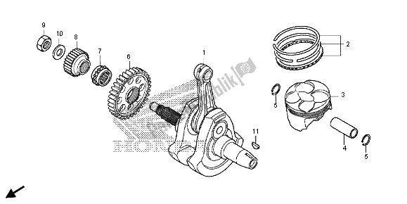 All parts for the Crankshaft & Piston of the Honda CRF 250L 2013