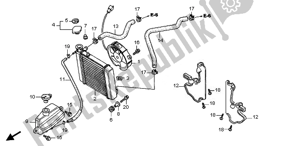 Toutes les pièces pour le Radiateur du Honda FES 125 2011