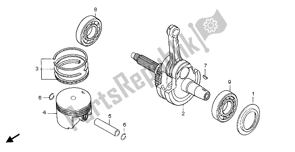 All parts for the Piston & Crankshaft of the Honda NX 650 1999