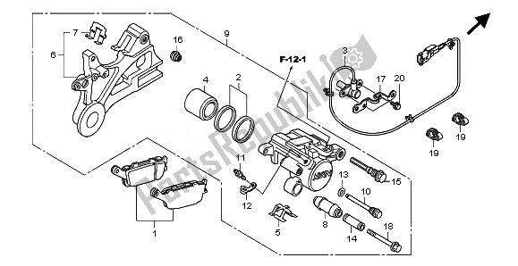 All parts for the Rear Brake Caliper of the Honda CB 600 FA Hornet 2010