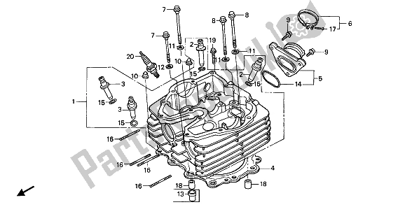 All parts for the Cylinder Head of the Honda NX 650 1992