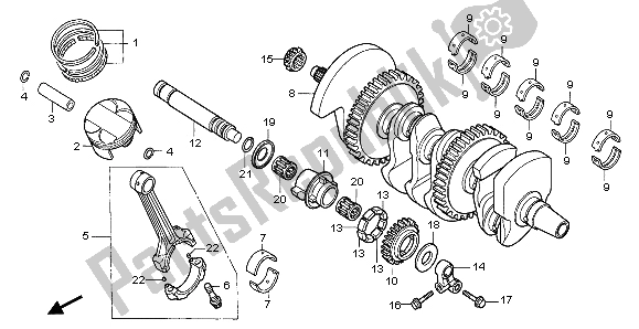 All parts for the Crankshaft & Piston of the Honda CBF 1000 2007