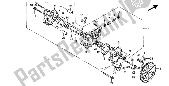 Toutes les pièces pour le La Pompe à Huile du Honda NX 650 1994