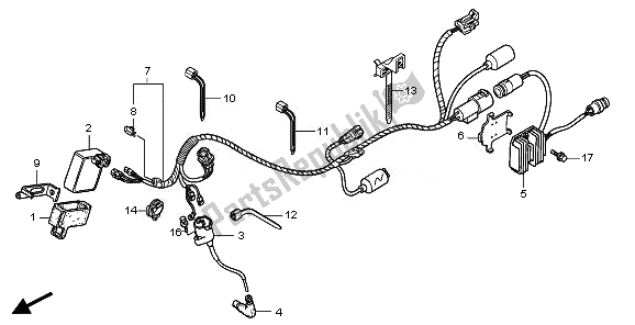 All parts for the Wire Harness of the Honda TRX 300 EX 2008