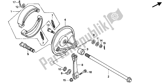 All parts for the Rear Brake Panel of the Honda CB 250 1994