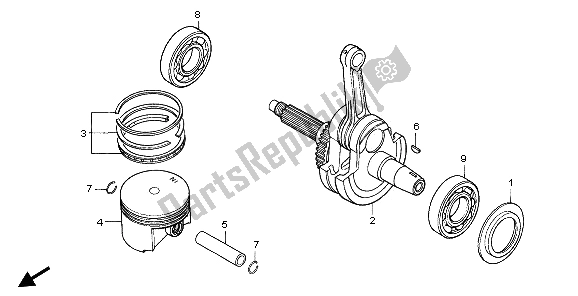 All parts for the Piston & Crankshaft of the Honda NX 650 1995