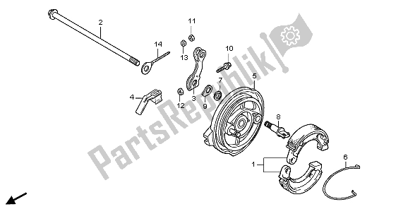 All parts for the Rear Brake Panel of the Honda CRF 50F 2009