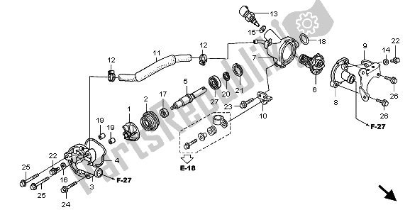 All parts for the Water Pump of the Honda SH 125 2009