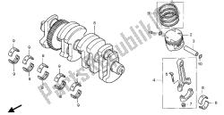 CRANKSHAFT & PISTON