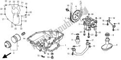 OIL PAN & OIL PUMP