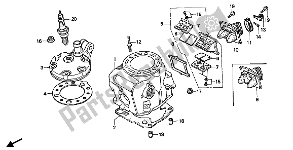 All parts for the Cylinder & Cylinder Head of the Honda CR 250R 1992