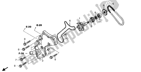 All parts for the Water Pump of the Honda ST 1300 2007