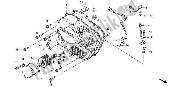 All parts for the Right Crankcase Cover of the Honda NX 650 1990